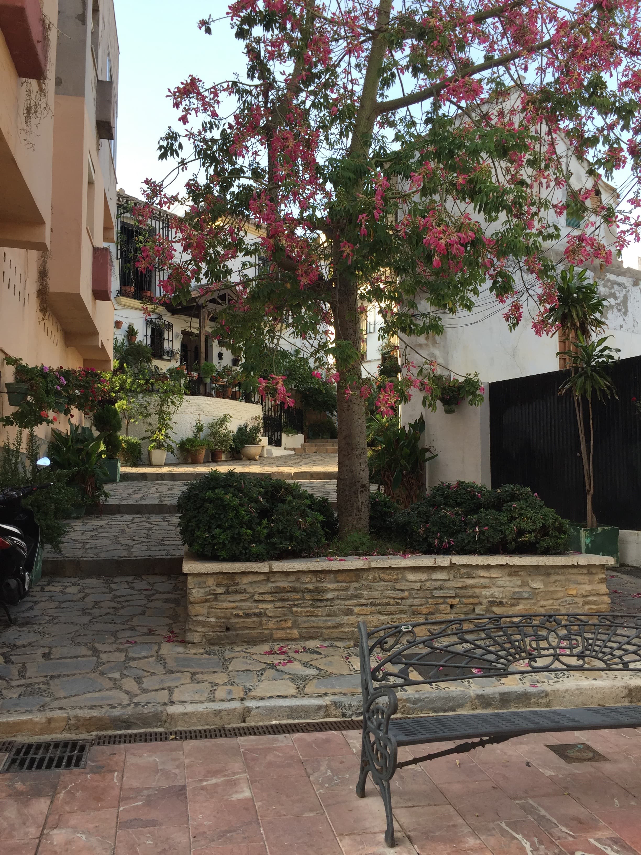 Estepona
