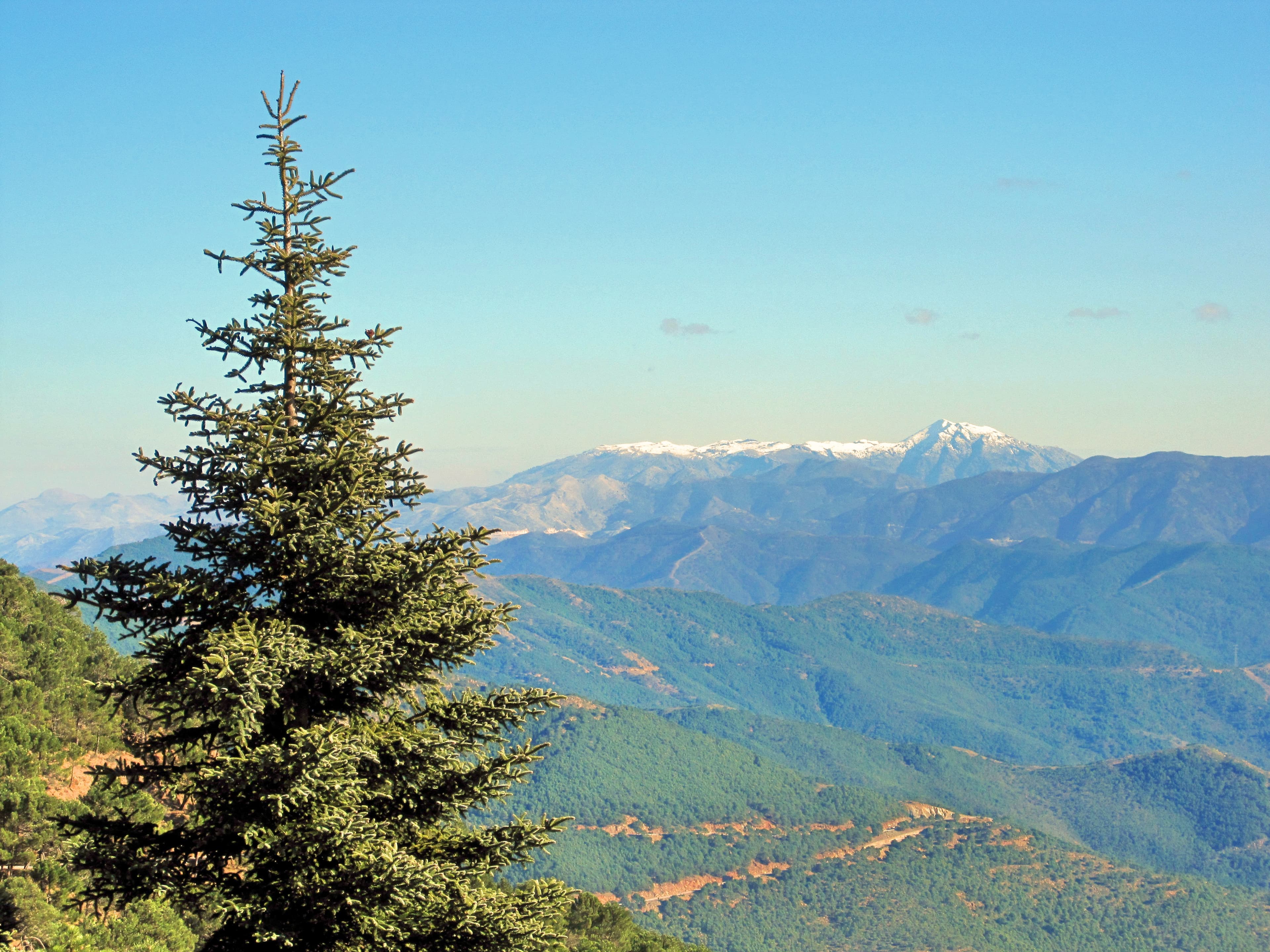 Sierra Bermeja